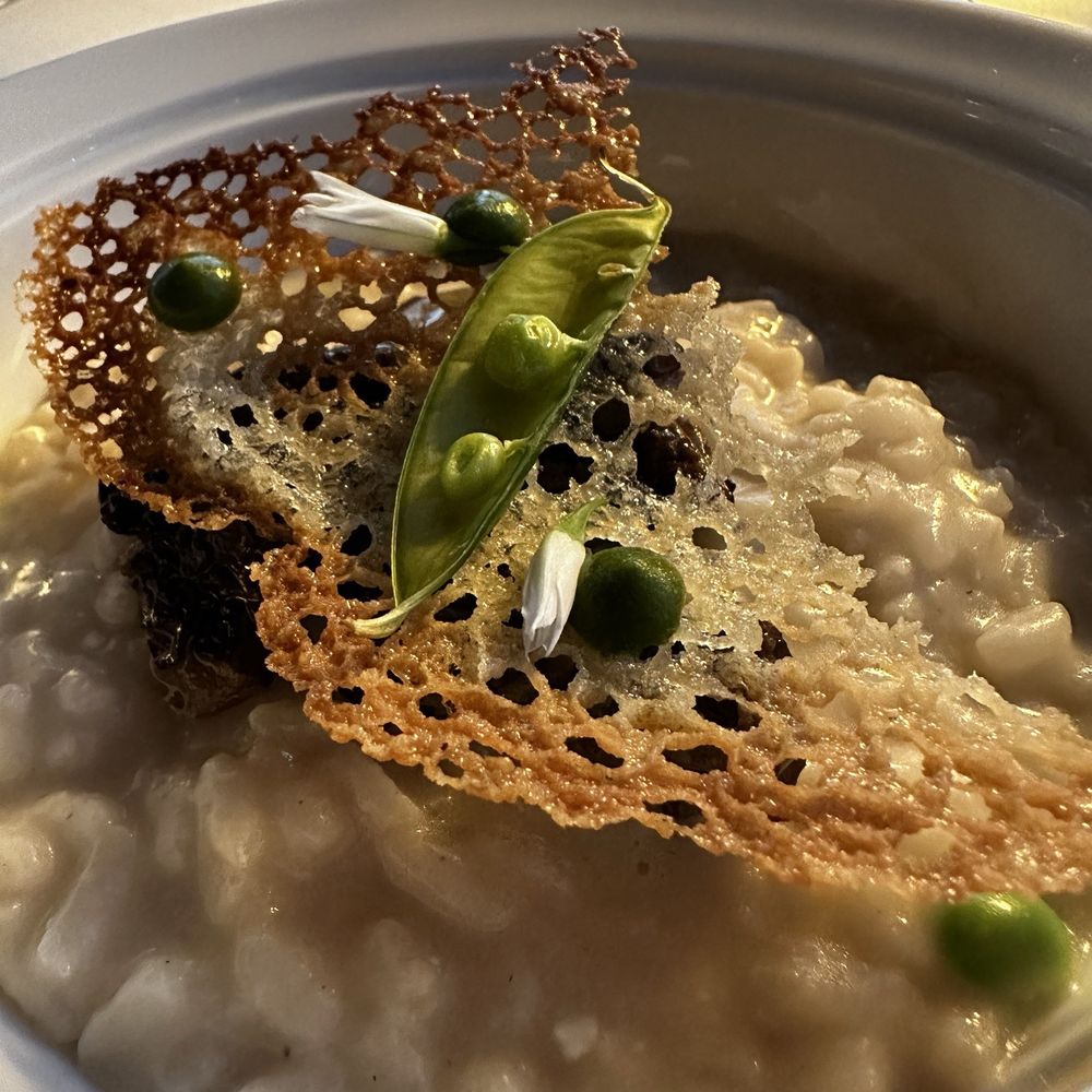 Aurelia - Morel risotto - New American Near Me - Newport, Rhode Island