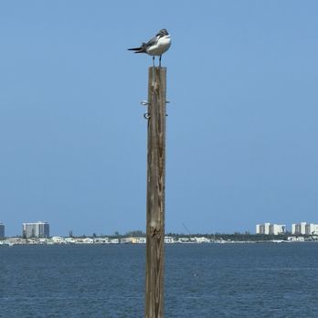 Conchy Joe's - View from our table - Seafood Near Me - Jensen Beach, Florida Conchy Joe's - View from our table - Seafood Near Me - Jensen Beach, Florida