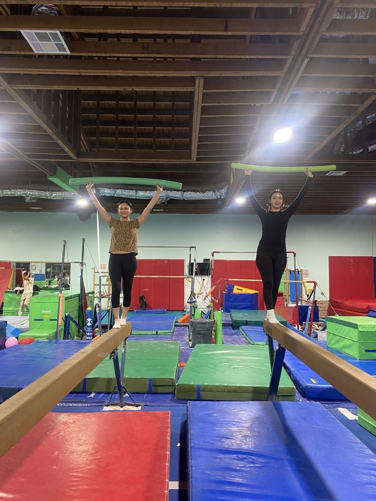 Vernon Lee Gymnastics Logo