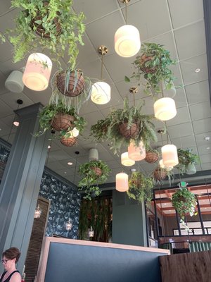 Water Bear Bar by null