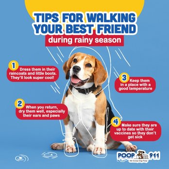POOP 911 - Pet Waste Removal Near Me POOP 911 - Pet Waste Removal Near Me