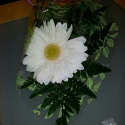 Mila - Para la ofrenda del cucurucho