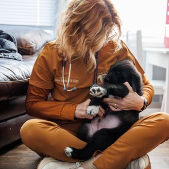 Veterinary Home Healthcare - Dr. Reynolds with patient, Gus, at his puppy check up. - Veterinarians Near Me - Martin, Tennessee Veterinary Home Healthcare - Dr. Reynolds with patient, Gus, at his puppy check up. - Veterinarians Near Me - Martin, Tennessee