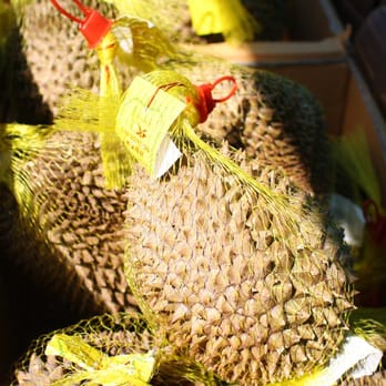 Hau Hau Market - a bunch of jackfruits - International Grocery Near Me - Seattle, Washington Hau Hau Market - a bunch of jackfruits - International Grocery Near Me - Seattle, Washington