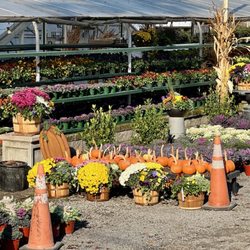 Gedney Farms Nursery