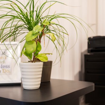 Capsity Coworking - Shared Office Spaces Near Me - Sacramento, California Capsity Coworking - Shared Office Spaces Near Me - Sacramento, California