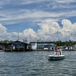 Fun 2 Dive Manatee Tours