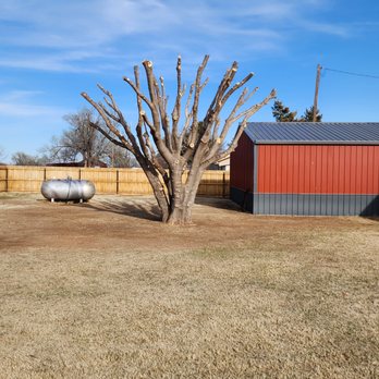 A-Z Tree Service - Tree Services Near Me - Borger, Texas A-Z Tree Service - Tree Services Near Me - Borger, Texas