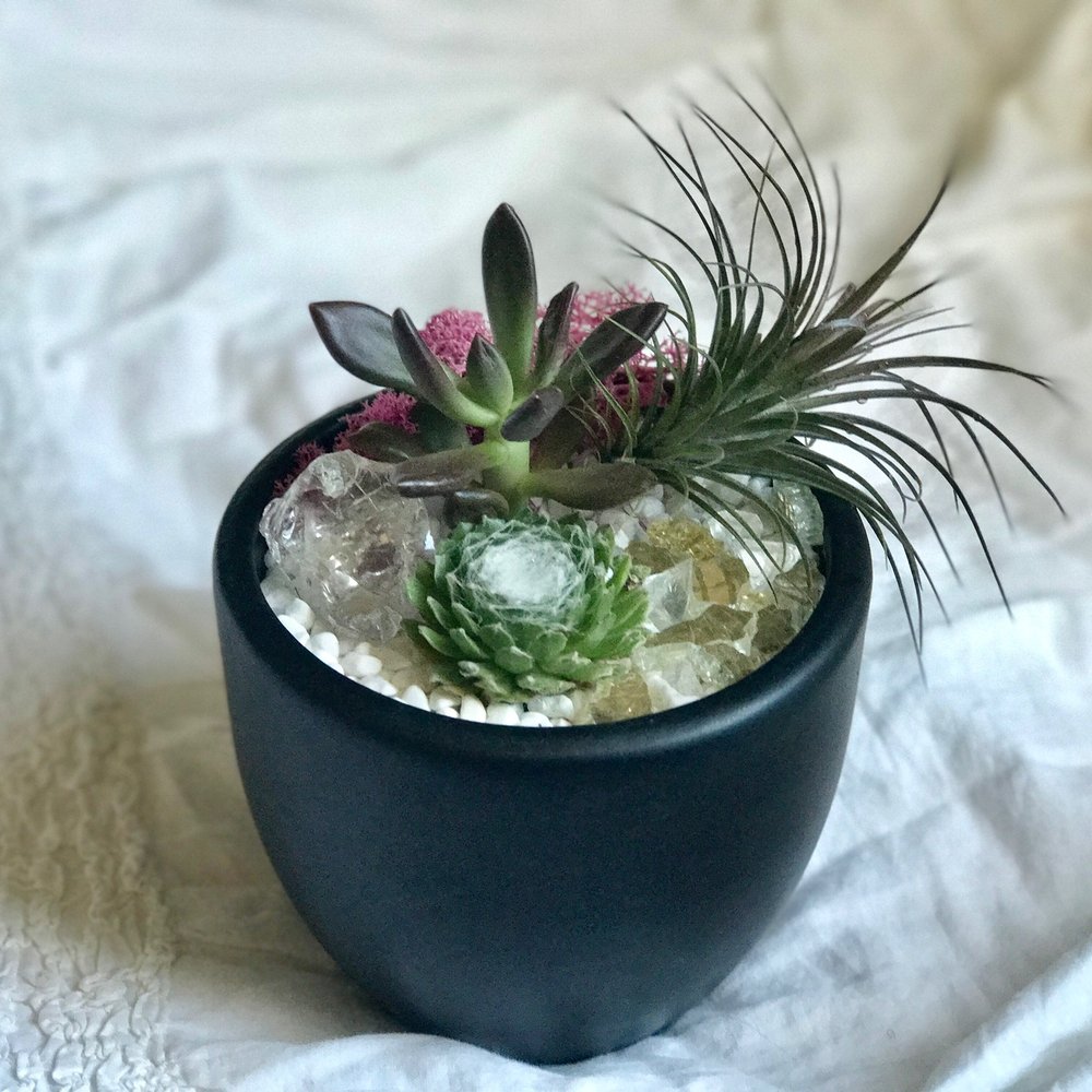 Love my succulent arrangement! Perfect addition to any room! Love my succulent arrangement! Perfect addition to any room!
