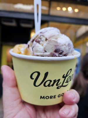 Van Leeuwen Ice Cream by null