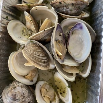 The Fish Store - Clams in garlic sauce - Seafood Near Me - Bayport, New York The Fish Store - Clams in garlic sauce - Seafood Near Me - Bayport, New York