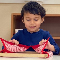 Montessori School of Modesto