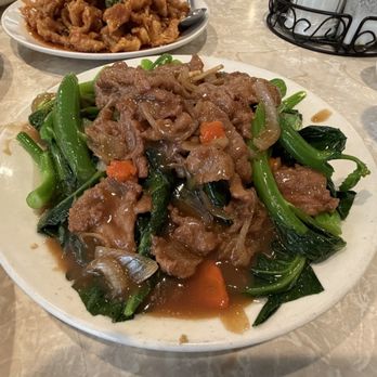Jade Fountain Cafe - Chinese beef and broccoli - Chinese Near Me - Sacramento, California Jade Fountain Cafe - Chinese beef and broccoli - Chinese Near Me - Sacramento, California