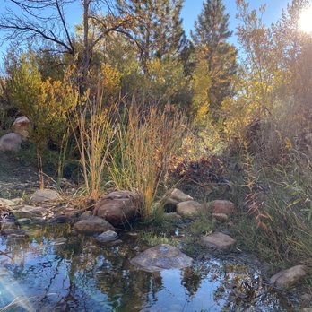 Pine Creek Canyon - Hiking Near Me - Las Vegas, Nevada Pine Creek Canyon - Hiking Near Me - Las Vegas, Nevada
