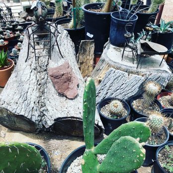 Cactus Mart - Nurseries & Gardening Near Me - Morongo Valley, California