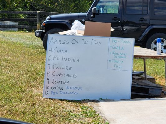 Stribling Orchard by null