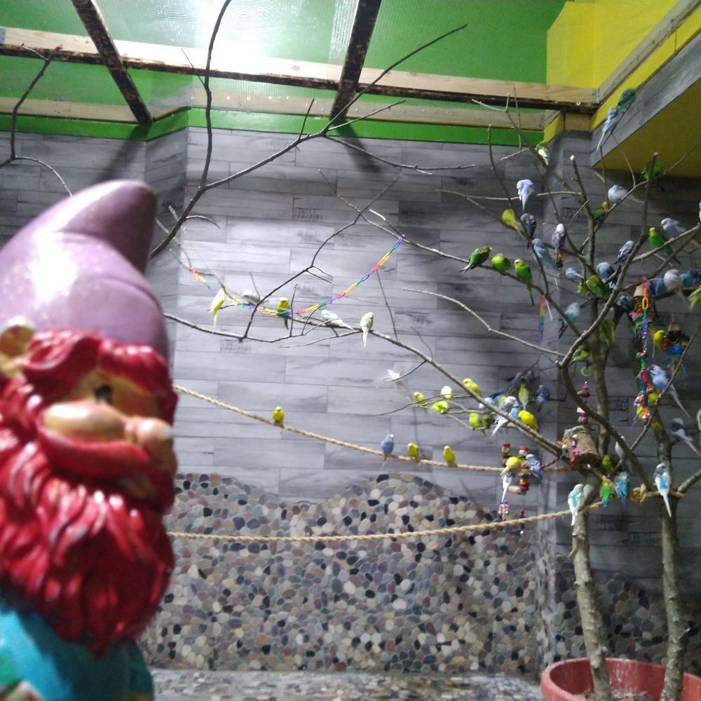 Blue Zoo - Aquariums Near Me - Baton Rouge, Louisiana