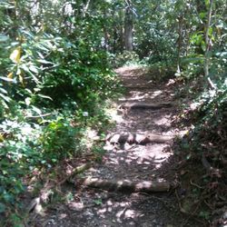 Hickory Nut Gap Inn