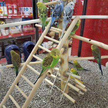 Petco - Pet Stores Near Me - Union City, California