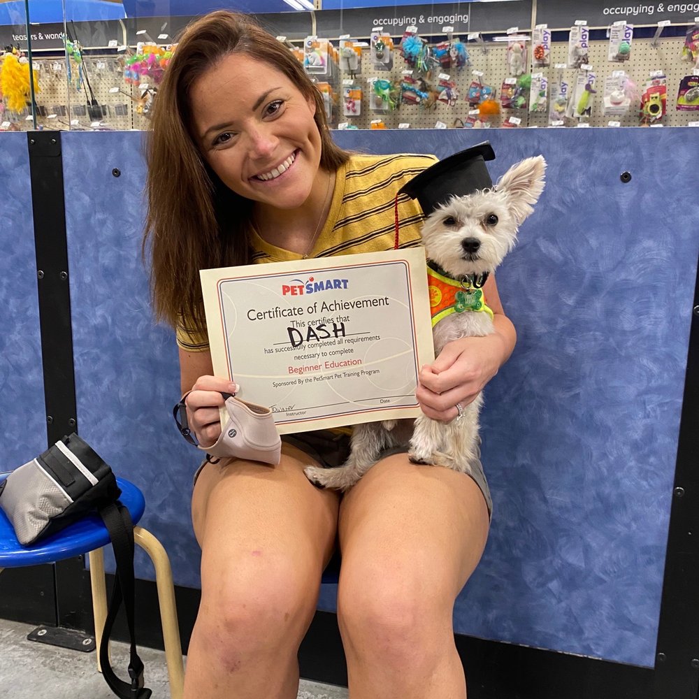 PetSmart - Pet Training Near Me - Las Vegas, Nevada PetSmart - Pet Training Near Me - Las Vegas, Nevada