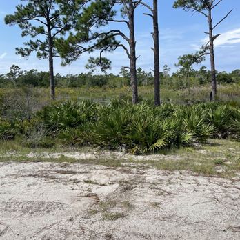 St. Andrews State Park - Camp site - Parks Near Me - Panama City, Florida St. Andrews State Park - Camp site - Parks Near Me - Panama City, Florida