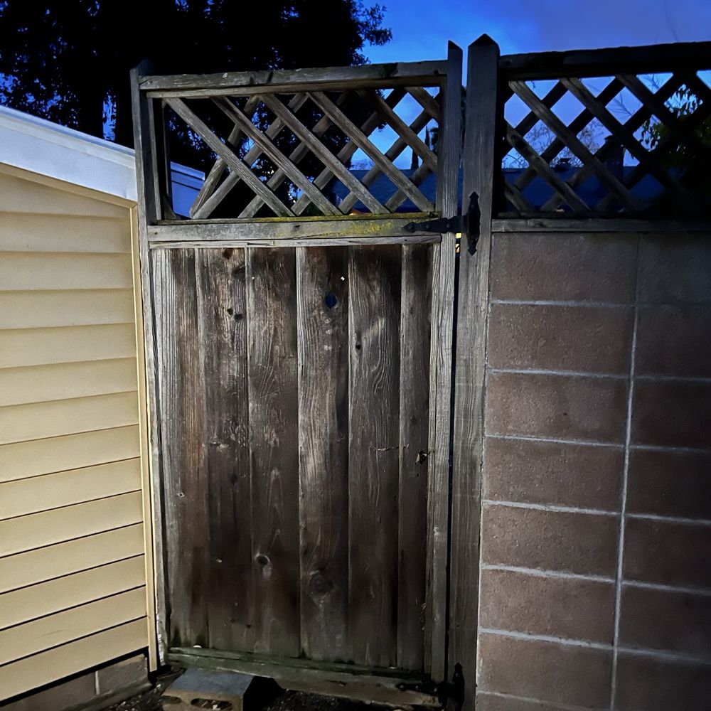 Bay Area Tree Pro - Old fence/before - Tree Services Near Me Bay Area Tree Pro - Old fence/before - Tree Services Near Me