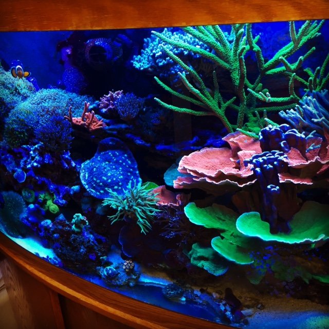 SALTWATER SOLUTIONS Updated September 2024 19 Photos 9113 Feather