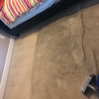 All Muscle Carpet Cleaning - Carpet Cleaning Near Me All Muscle Carpet Cleaning - Carpet Cleaning Near Me