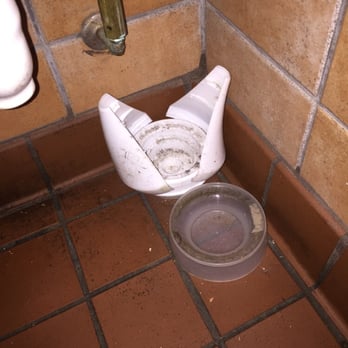 Texas Roadhouse - Under the ladies restroom sink - Steakhouses Near Me - Denton, Texas Texas Roadhouse - Under the ladies restroom sink - Steakhouses Near Me - Denton, Texas