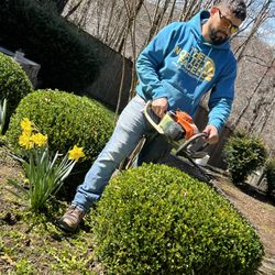 AJR Landscaping Services - I am a professional in gardening