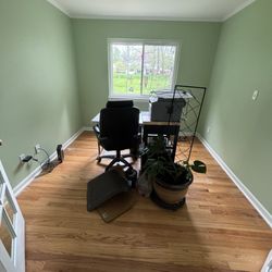 Alpha and Omega House Painters - Office interior painting