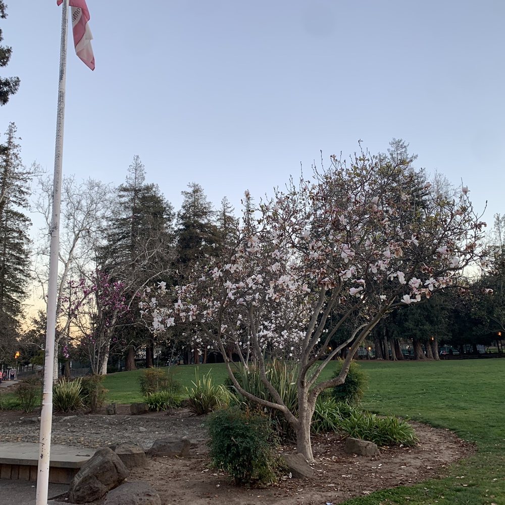 Serra Park - Parks Near Me - Sunnyvale, California Serra Park - Parks Near Me - Sunnyvale, California