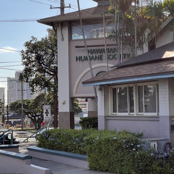 Hawaiian Humane Society - Animal Shelters Near Me - Honolulu, Hawaii Hawaiian Humane Society - Animal Shelters Near Me - Honolulu, Hawaii