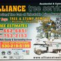 Photo of Alliance Tree Service