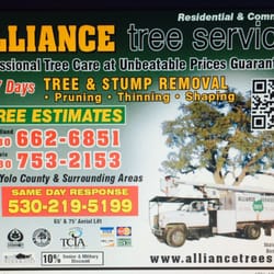 Alliance Tree Service
