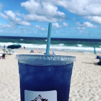 The Modern Rose - Coffee & Tea Near Me - Deerfield Beach, Florida The Modern Rose - Coffee & Tea Near Me - Deerfield Beach, Florida