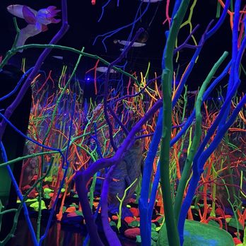 The Real Unreal - Meow Wolf - Art Museums Near Me - Grapevine, Texas
