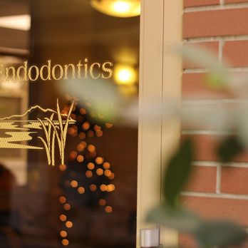 Delta Endodontics - General Dentistry Near Me - Stockton, California Delta Endodontics - General Dentistry Near Me - Stockton, California