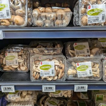 Francois No Frills - Mushrooms - Grocery Near Me - Toronto, Ontario