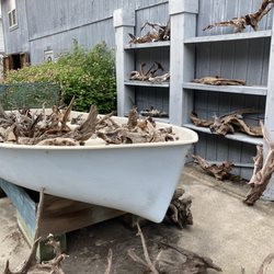 W S Stetson's Seashells - Lots of driftwood.