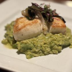 Josie’s Table - Halibut on pea shoots risotto