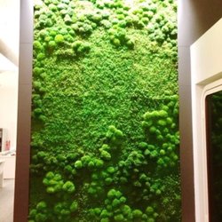 Let us do a moss wall for your home or business.