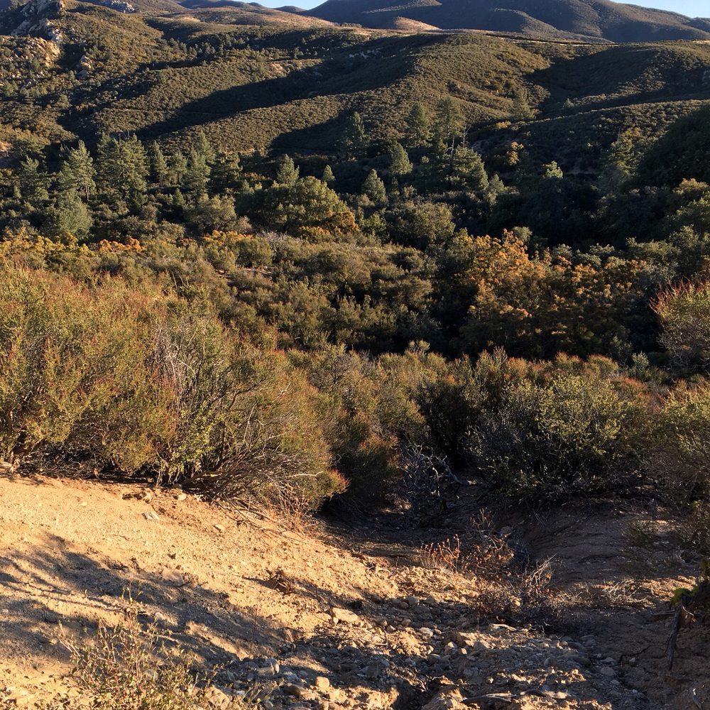 The Pacific Crest Trail - Parks Near Me - Anza, California The Pacific Crest Trail - Parks Near Me - Anza, California
