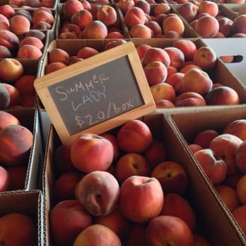 The Kinlands - Farmers Market Near Me - Riverton, Utah