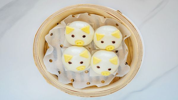 Super Dumpling by null