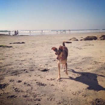 Del Mar North Beach - Beaches Near Me - Del Mar, California