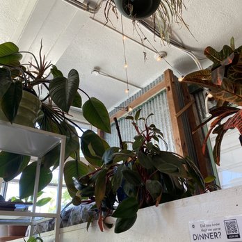 Lost Parrot Cafe - Breakfast & Brunch Near Me - South Pasadena, California Lost Parrot Cafe - Breakfast & Brunch Near Me - South Pasadena, California