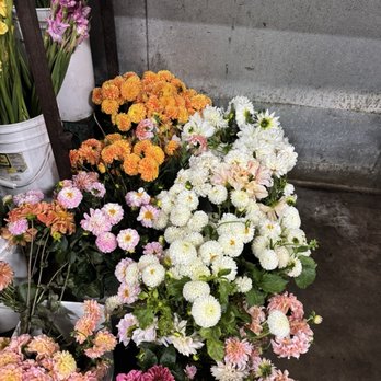 Corina's Wholesale Flowers - Florists Near Me - Carlsbad, California Corina's Wholesale Flowers - Florists Near Me - Carlsbad, California