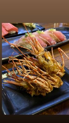 Hide Sushi by null