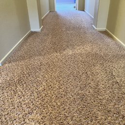 Hallway carpet cleaned well.